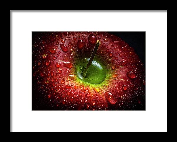 Still Life Framed Print featuring the photograph Red Apple by Aida Ianeva