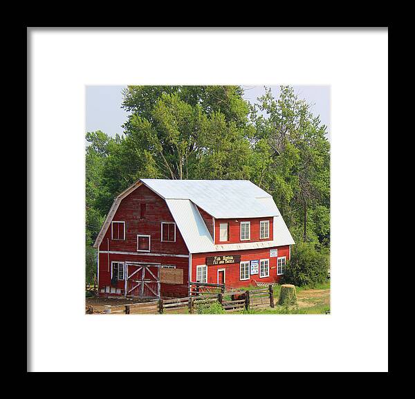 Barn Framed Print featuring the photograph Red Barn by Cathy Anderson