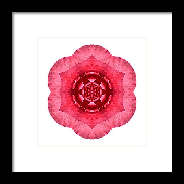 Flower Framed Print featuring the photograph Red Begonia I Flower Mandala White by David J Bookbinder