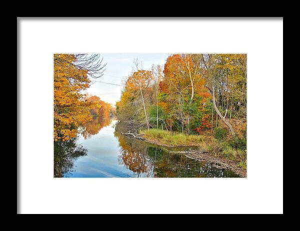 Michigan Framed Print featuring the photograph Red Cedar Fall Colors by Lars Lentz