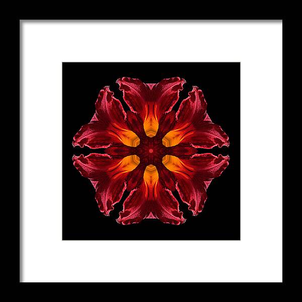 Flower Framed Print featuring the photograph Red Daylily II Flower Mandala by David J Bookbinder