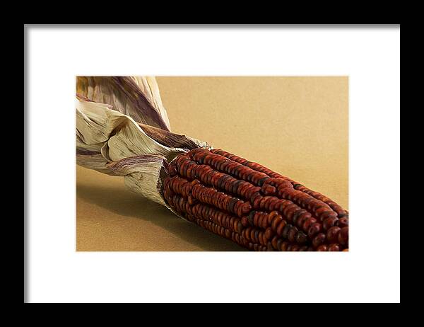 Corn Framed Print featuring the photograph Red Ear by Mark McKinney