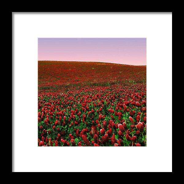 Love Framed Print featuring the photograph Red! by Emanuela Carratoni