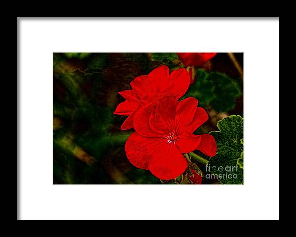 Art Prints Framed Print featuring the photograph Red Flowers by Dave Bosse