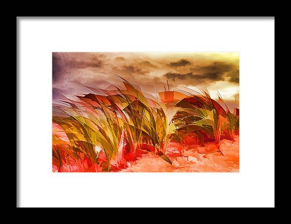 Beach Framed Print featuring the photograph Red Grass by Mary Underwood