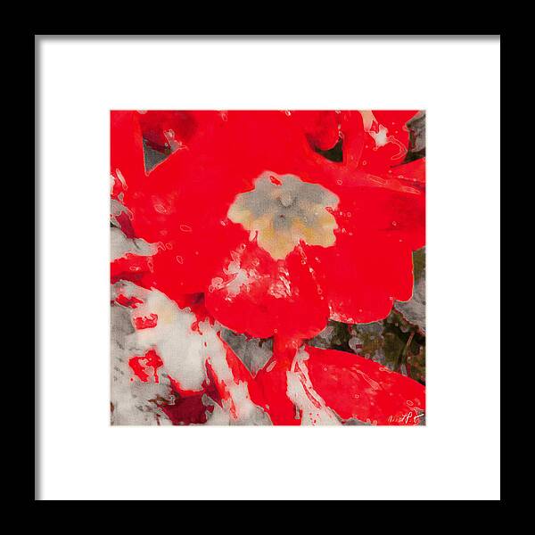 Red Lacquered Primroses Framed Print featuring the photograph Red Lacquered Primroses by Anna Porter