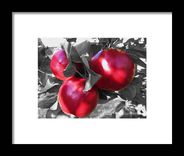 Red Riding Hood Framed Print featuring the photograph Red Riding Hood by Martin Howard