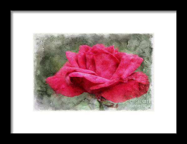 Red Rose Framed Print featuring the photograph Red Rose in Oil Pastel by Yumi Johnson