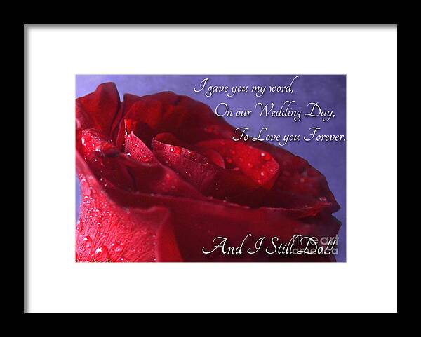 Rose Framed Print featuring the photograph Red Rose romantic greeting card by Debbie Portwood