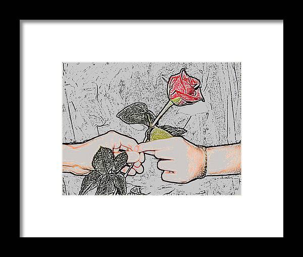 Red Rose Framed Print featuring the photograph Red Rose Sketch by Jan Marvin Studios by Jan Marvin