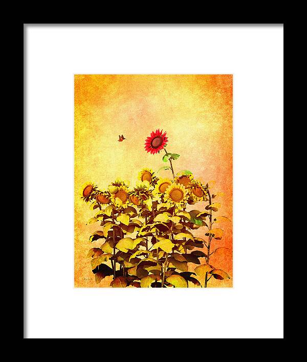 Sunflower Framed Print featuring the digital art Red Sunflower by Bob Orsillo