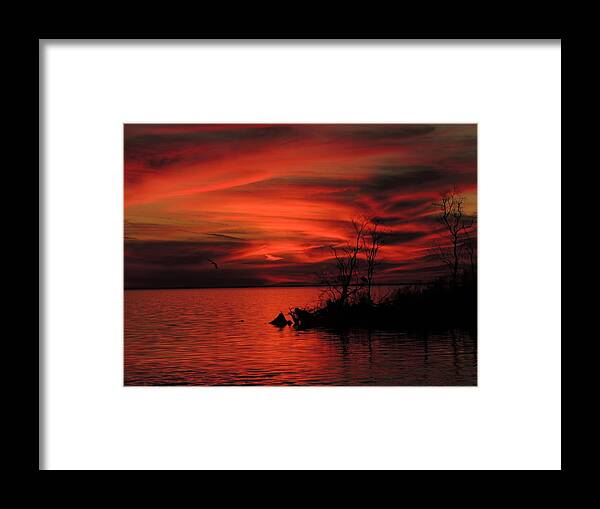 Sunset Framed Print featuring the photograph Red Velvet by Charlotte Schafer