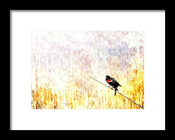 Red Framed Print featuring the painting Red Wing Blackbird 2 by Rick Mosher