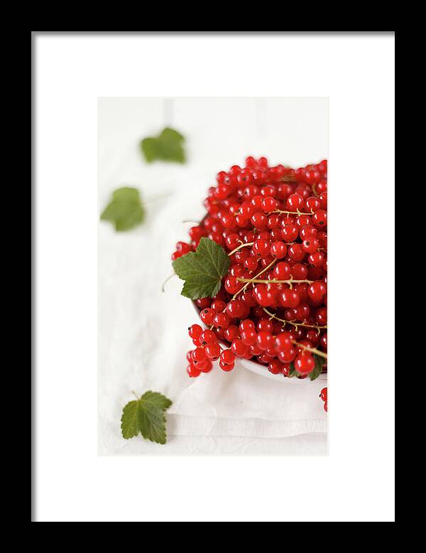 Red Currant Framed Print featuring the photograph Redcurrants by Alena Kogotkova
