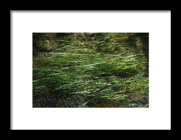 Rural Landscape Framed Print featuring the photograph Reeds River Lathkill Litton by Jerry Daniel