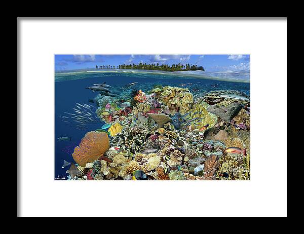 Marine Life Framed Print featuring the digital art Reef Magic by Artesub