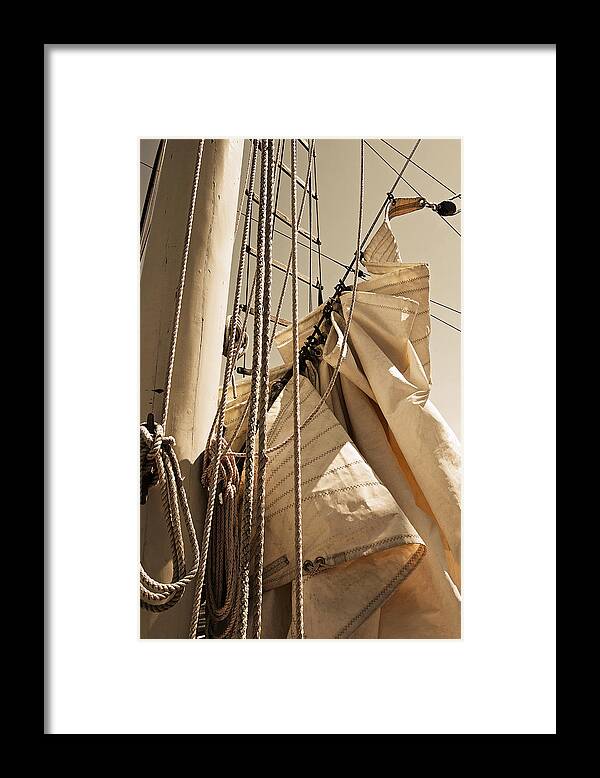 Reefing Framed Print featuring the photograph Reefing the Mainsail In Sepia by Jani Freimann