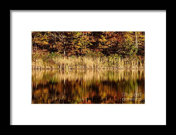 Reflection Framed Print featuring the photograph Refections in water by Dan Friend