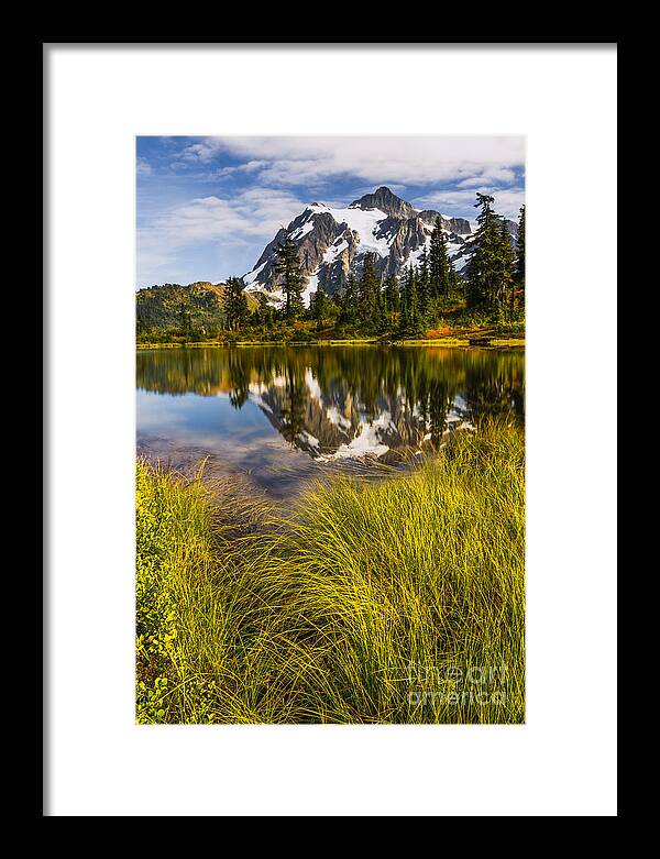 Mt. Shuksan Framed Print featuring the photograph Reflecting by Gene Garnace
