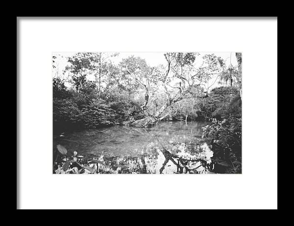 Bonito Framed Print featuring the pyrography Reflection by Gustavo Castellon