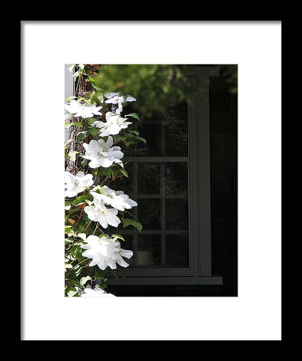 Flowers Framed Print featuring the photograph Reflection by James McAdams