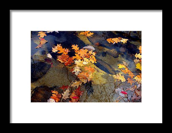 Waterscape Framed Print featuring the photograph Reflection by Marcia Lee Jones