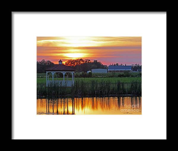 Nature Framed Print featuring the photograph Reflection of Beauty by Dawn Gari