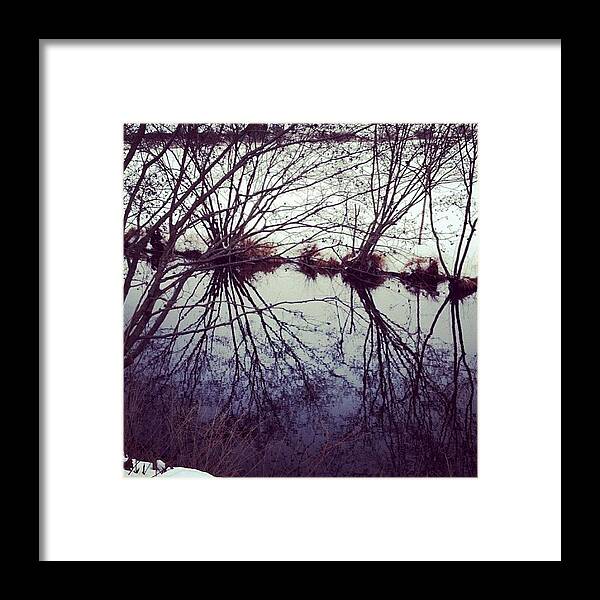 Water Framed Print featuring the photograph #reflection #water #river #bush #pretty by Amber Campanaro