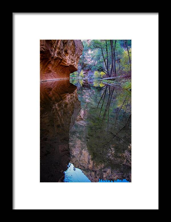 Oak Framed Print featuring the photograph Reflection by Will Wagner