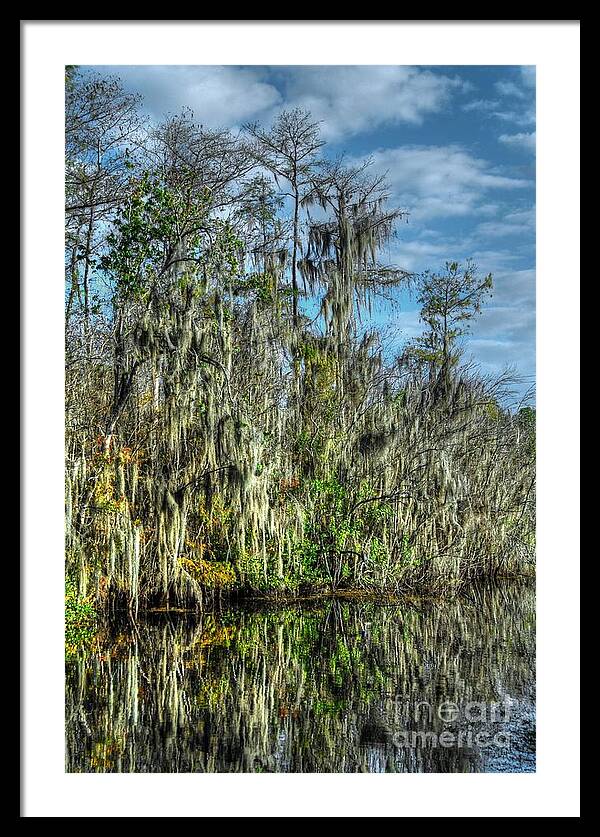Reflections Framed Print featuring the photograph Reflectionist by Anthony Wilkening