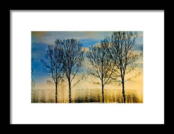 Landscape Framed Print featuring the photograph Reflections by Adriana Zoon