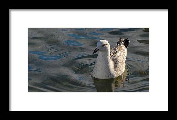 Romantic Sayings On Greeting Cards Framed Print featuring the photograph Reflections by Dave Byrne