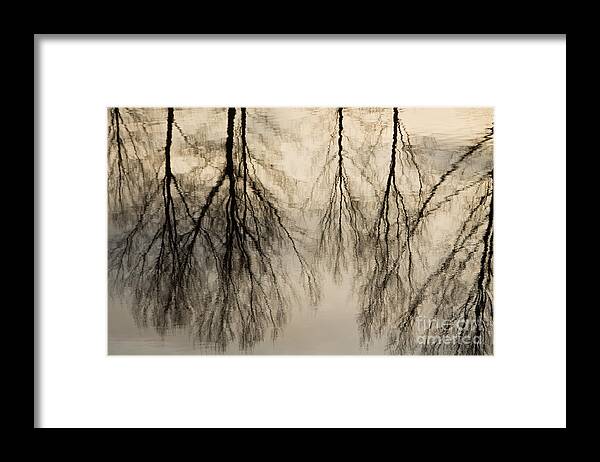 Landscape Framed Print featuring the photograph Reflections in black and grey by Adriana Zoon