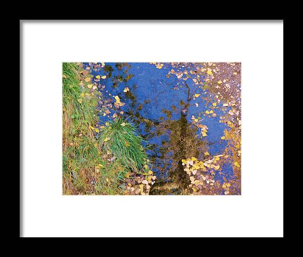 Fall Framed Print featuring the photograph Reflections of Fall by Feva Fotos