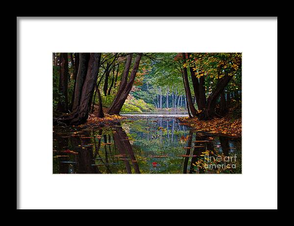 Lake Framed Print featuring the painting Fall Reflections by Jackie Case