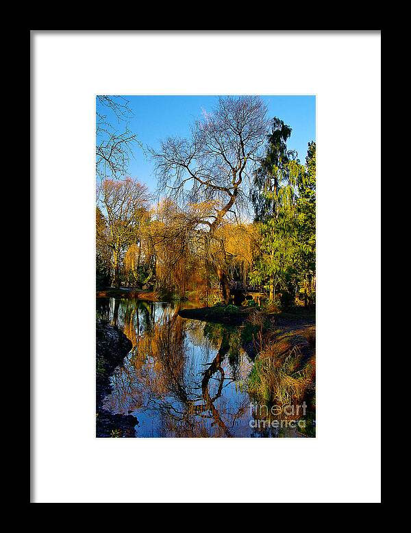 Reflections Framed Print featuring the photograph Reflections on the Lake by Martyn Arnold