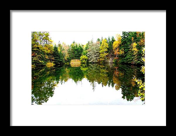 Landscape Framed Print featuring the photograph Reflections by Tim Nichols