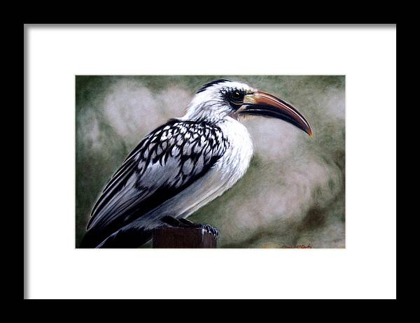 Living Room Framed Print featuring the painting Regal Hornbill by Carol McCarty
