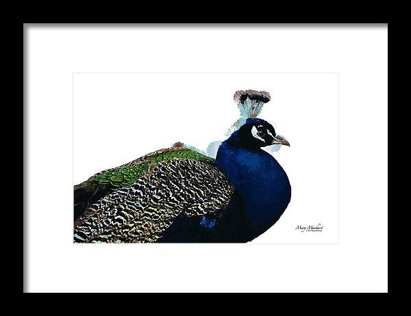 Regal Peacock Framed Print featuring the digital art Regal Peacock by Mary Machare