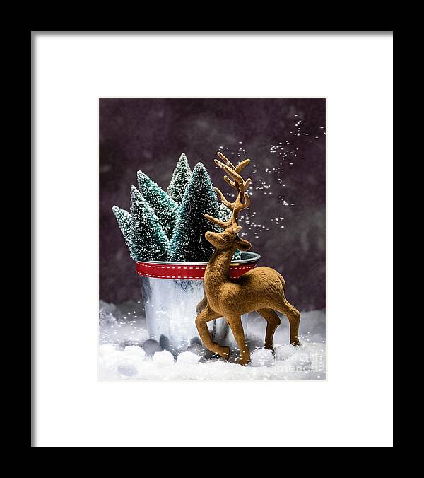 Christmas Framed Print featuring the photograph Reindeer At Christmas by Amanda Elwell