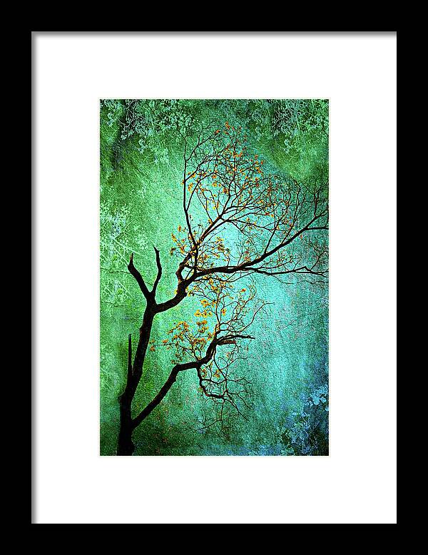 Landscape Framed Print featuring the photograph Jade by Diana Angstadt
