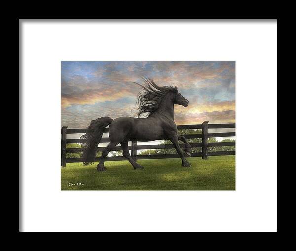 Friesian Framed Print featuring the photograph Remains of the Day by Fran J Scott