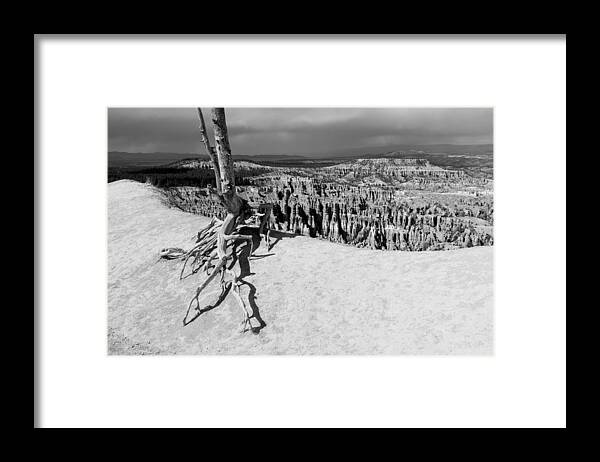Resisting Framed Print featuring the photograph Resisting Arrest bw by Elizabeth Sullivan
