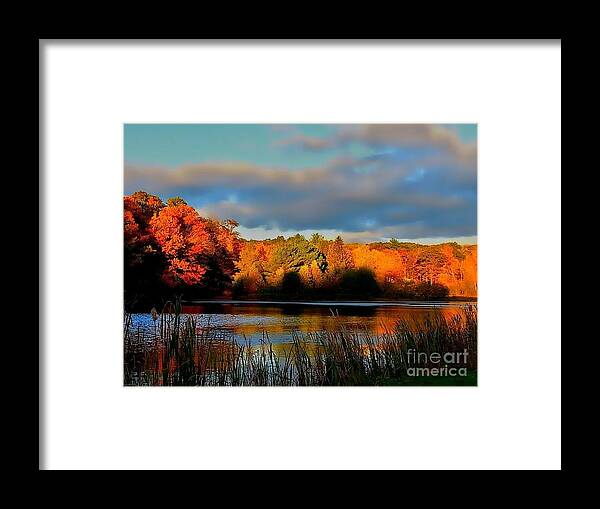 Autumn Framed Print featuring the photograph Resonate by Dani McEvoy