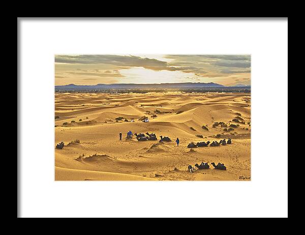 Sahara Dunes sand Dunes Desert Morocco Camels Berbers Framed Print featuring the photograph Rest Stop Sahara by Christopher Byrd