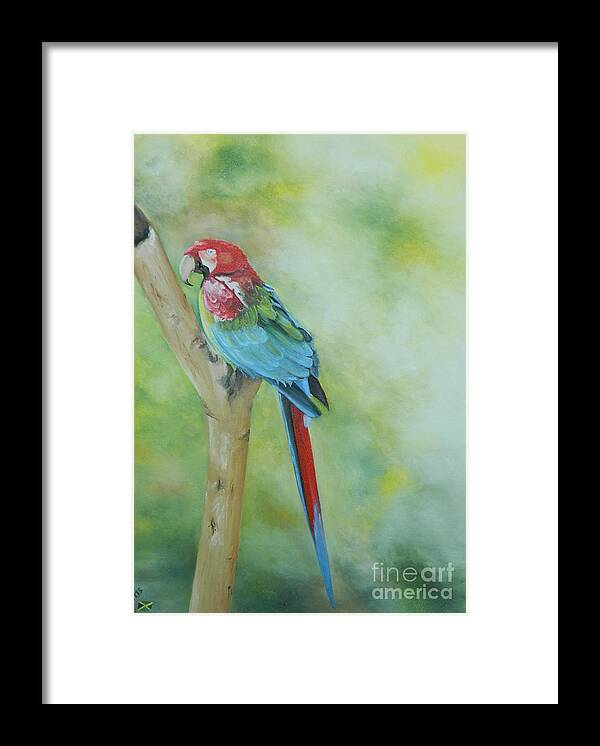 Bird Framed Print featuring the painting Resting by Kenneth Harris