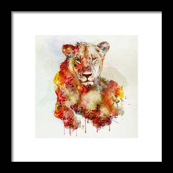 Marian Voicu Framed Print featuring the painting Resting Lioness in watercolor by Marian Voicu
