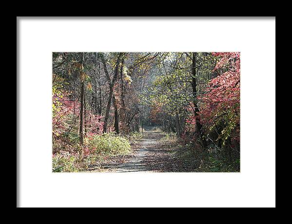 Foliage Framed Print featuring the photograph Restless No. 2 by Neal Eslinger