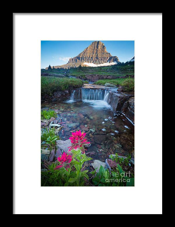 America Framed Print featuring the photograph Reynolds Mountain Paintbrush by Inge Johnsson