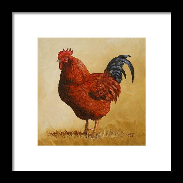 Rhode Island Framed Print featuring the painting Rhode Island Red Rooster by Crista Forest